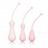 Набор из 3 вагинальных кегель-массажёров разного размера Weighted Silicone Kegel Training Kit, California Exotic Novelties