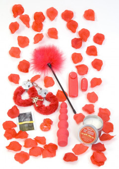 Подарочный набор секс-игрушек и аксессуаров RED ROMANCE GIFT SET , Toy Joy