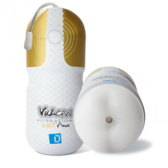 Мастурбатор-анус с вибрацией Vulcan Love Skin Masturbator Wet Anus Vibe, Topco Sales