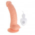 Телесный вибратор SEDUCER 20 Function Bended Lust - 17,5 см. Телесный вибратор SEDUCER 20 Function Bended Lust - 17,5 см.