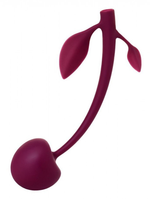 Бордовая вагинальная вишенка WILD CHERRY - 14,5 см., JOS
