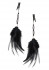 Украшение на грудь с пёрышками FANCY FEATHER CLAMPS, Pipedream