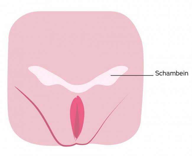 Мастурбатор-вагина CyberSkin Pussy with Virtual Pubic Bone Light, Topco Sales Мастурбатор-вагина CyberSkin Pussy with Virtual Pubic Bone Light, Topco Sales