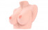 Мастурбатор-полуторс в натуральную величину TITTIES C_cup, KOKOS