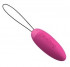 Лиловый вибростимулятор Mini Vibe HONI CERISE (PicoBong), PicoBong Лиловый вибростимулятор Mini Vibe HONI CERISE (PicoBong), PicoBong
