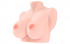 Мастурбатор-полуторс в натуральную величину TITTIES D_cup, KOKOS
