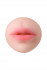 Телесный двусторонний мастурбатор Pretty Mouth - ротик и вагина , ToyFa Телесный двусторонний мастурбатор Pretty Mouth - ротик и вагина , ToyFa