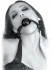 Черный кляп-шар Beginner's Ball Gag, Pipedream Черный кляп-шар Beginner's Ball Gag, Pipedream