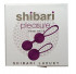 Вагинальные шарики Shibari Pleasure Kegel Balls, Shibari