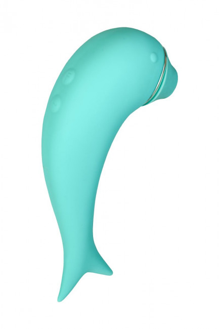 Бирюзовый вакуум-волновой стимулятор клитора Dolphin с вибрацией, ToyFa Бирюзовый вакуум-волновой стимулятор клитора Dolphin с вибрацией, ToyFa