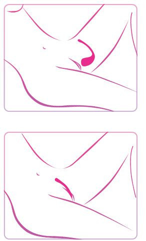 Умный розовый вибратор Lush Bullet Vibrator - 18 см., Lovense Умный розовый вибратор Lush Bullet Vibrator - 18 см., Lovense