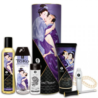 Подарочный набор CARNAL PLEASURES, Shunga