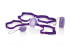 Фиолетовая вибробабочка Remote Waterproof Venus Butterfly на радиоуправлении, California Exotic Novelties