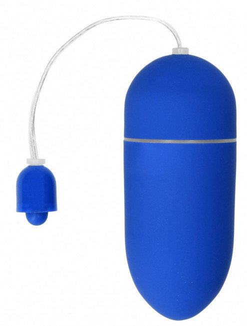 Синее гладкое виброяйцо Vibrating Egg - 8 см. Синее гладкое виброяйцо Vibrating Egg - 8 см.