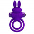 Фиолетовое эрекционное кольцо с вибростимуляцией клитора Vibrant Penis Ring III, Baile