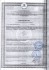 Дезинфицирующее средство "Абактерил-АКТИВ" с насос-дозатором - 500 мл.