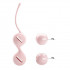 Нежно-розовые вагинальные шарики на сцепке Kegel Tighten Up I
