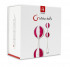 Вагинальные шарики Geisha Balls, Fun Toys