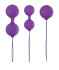 Набор фиолетовых вагинальных шариков Luxe O' Weighted Kegel Balls, NS Novelties