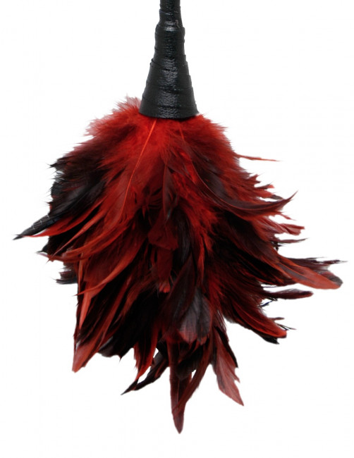 Кисточка с красно-чёрными пёрышками FRISKY FEATHER DUSTER - 36 см., Pipedream
