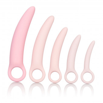 Набор из 5 фаллоимитатров разного размера Sili Dilator 5 P, California Exotic Novelties