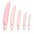 Набор из 5 фаллоимитатров разного размера Sili Dilator 5 P, California Exotic Novelties Набор из 5 фаллоимитатров разного размера Sili Dilator 5 P, California Exotic Novelties
